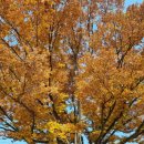 마리산초등학교 이미지