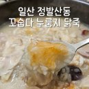 위드 | 일산 정발산동 맛집 꼬숩다 누룽지 닭죽, 속 편한 보양식 한 끼