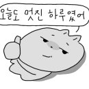 평창다솜방한우