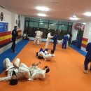 코리아 유도 짐 이미지