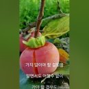 류계영의인생
