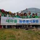 김경철농장 이미지