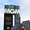 MGM 이미지