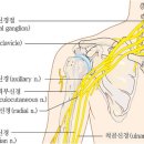 상도한의원 이미지