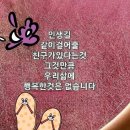 신정노을 이미지