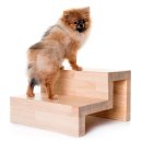 모코동물의료센터 이미지