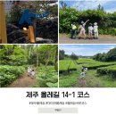 한경면저지리새마을회 | 제주 올레길 14-1 코스 곶자왈 오설록 옵서버스 체험