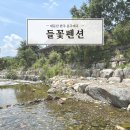 들꽃펜션 | 대둔산 완주 운주계곡 물놀이 들꽃펜션 계곡 후기🌿