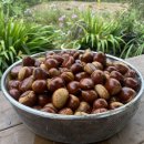 오근농장 이미지