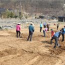 신관농장 이미지