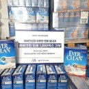 크린에버 이미지