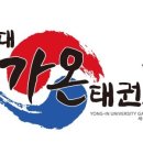 용인대 가온 태권도 이미지