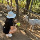 두곡목장 이미지