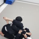 힘찬합기도주짓수태권도 이미지