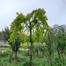 일농장 이미지