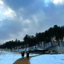 처남목장 이미지