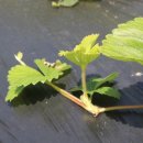 반디별 펜션 이미지