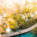 수도고속관광여행사 이미지