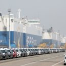 의료법인세원의료재단 이미지