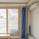 민들레미코 이미지