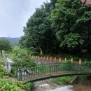 산속정원캠핑장 이미지