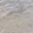 낙산해변야영장 | [강원도]1박2일 삼대모녀 여행일정 [양양/낙산해수욕장-파라솔가격] [대포항] [디그니티호텔][휴휴암...