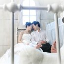 스튜디오아이리스 Daum카페