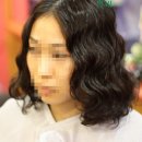 멍멍이미용실 이미지