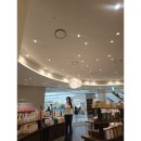 지난일상-동대문 닭한마리 골목(명동닭한마리 시조점), 동묘앞 구제시장 구경