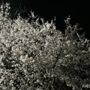 청당산업길 이미지