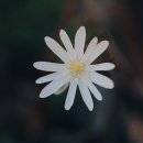 살바토레펜션 이미지