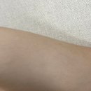 웰프로바디 이미지