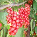 동부농약사 이미지