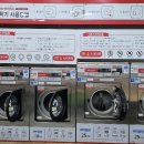 워시테리아대전 티스토리