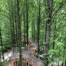 장태산자연휴양림 캠핑장 이미지