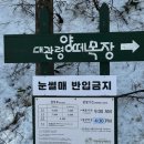 대관령목장 | 대관령 양떼목장 주차, 겨울 눈 후기