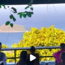 국제비치마트 이미지