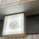 모찌가 | 제주 귤모찌가 맛있는동문시장 과일모찌 운화당 솔직후기