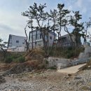 보드레 펜션 이미지