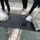 고성펜션 화포리 이미지