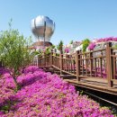 구봉산전망대 이미지