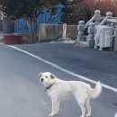 백구보건지소 이미지