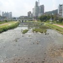 경안천 초부리 이미지