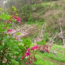 선희농장 이미지