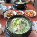 정통삼계탕 | 광화문 정통삼계탕원가 종로 내돈내산 점심 중복 몸보신 맛집추천