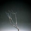 <형태의 속삭임> 이미지