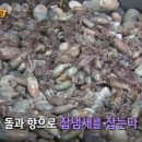 달인손짜장 이미지