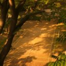 궁동근린공원 화장실 이미지