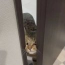 기석농장 이미지