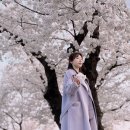 대숲 | 홍대 야장 고기꾼 김춘배 홍대숲길점 내돈내산 후기｜경의선숲길 벚꽃 삼겹살 맛집